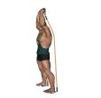 Triceps Extension - Resistance Tube